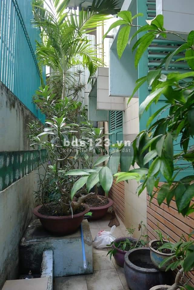 Siêu Rẻ ,Siêu Hiếm 92( 6.2x15 x2 T) K 300 ,P12 ,TB CHỈ 8.55 TỶ .