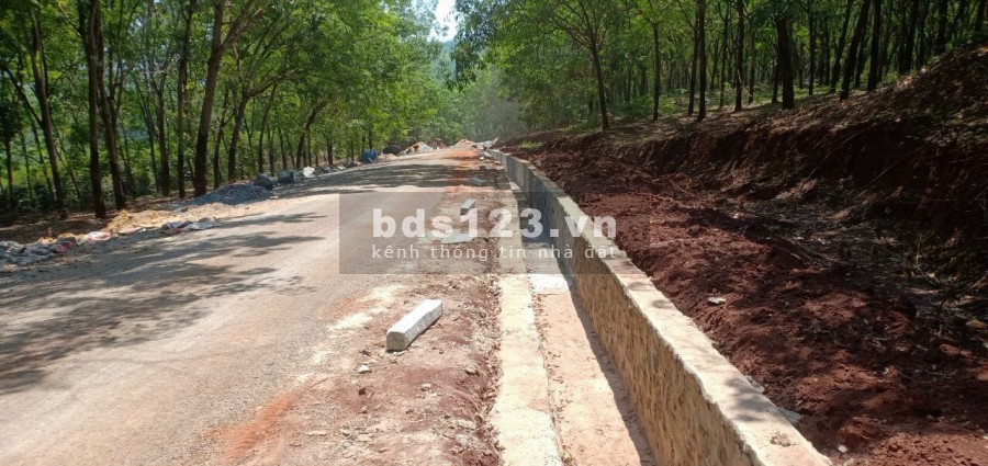 Bán 5000m2 đất cây lâu năm đủ tiện ích xung quanh bán kinh 2km