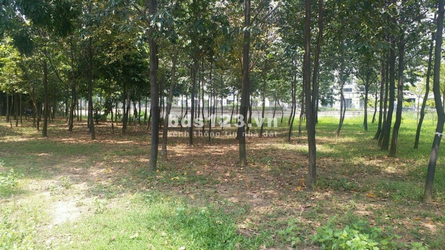 Cần bán lô đất mặt tiền sông đường 51 hướng tây bắc Giá bán 82 triệu/m2 Tel.0914.392.070