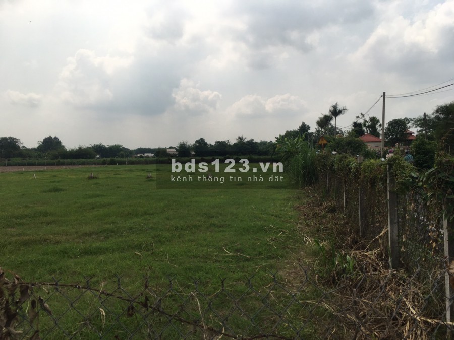 Tôi cần bán lô đất ở Thái Mỹ giá rẻ