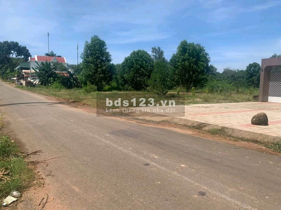 Về quê sinh sống bán gấp 2000m2 ngay tại trung tâm hành chính