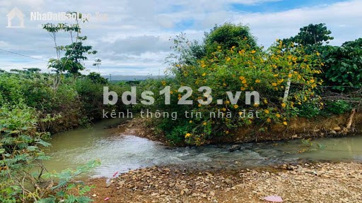 Đất Vườn Nghỉ Dưỡng Bình Long Bình Phước View Sông