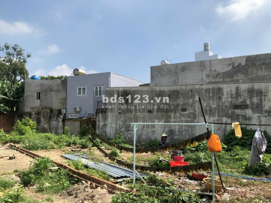 Cần tiền bán gấp đất thổ cư hóc môn 317,3m2 giá 1 tỷ 3