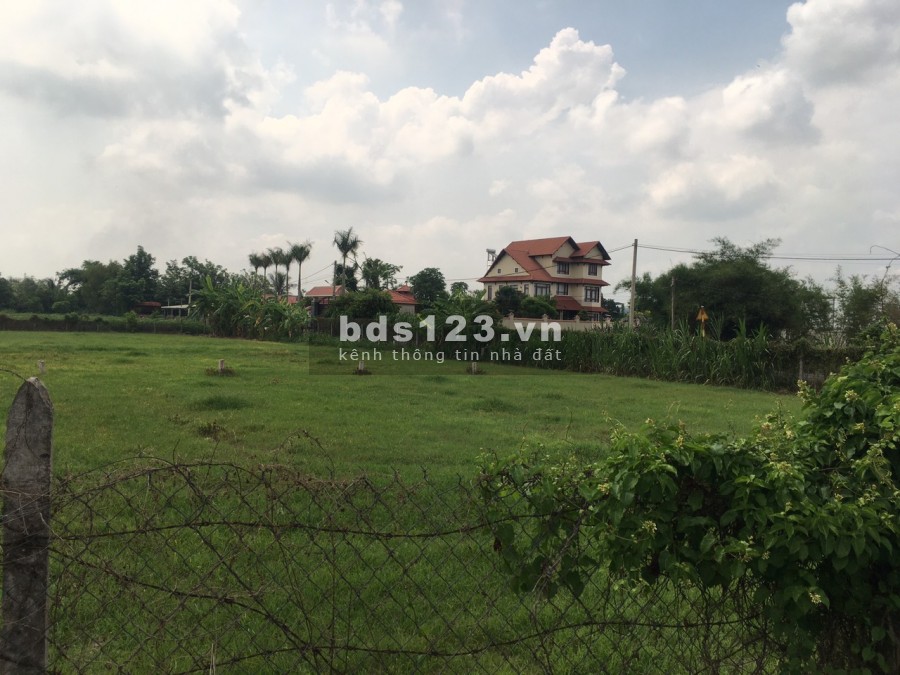 Tôi cần bán lô đất ở Thái Mỹ giá rẻ