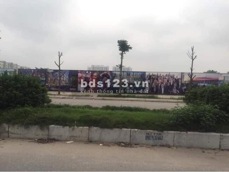 Chủ đất cần bán gấp để lo đám cưới cho con