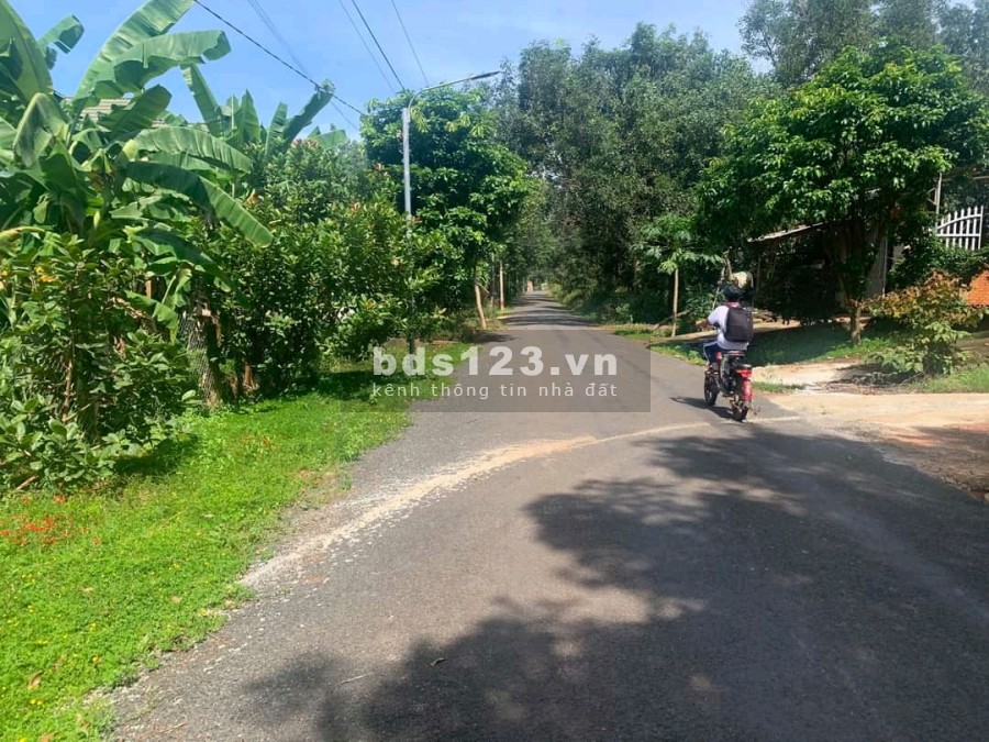 Về quê sinh sống bán gấp 2000m2 ngay tại trung tâm hành chính
