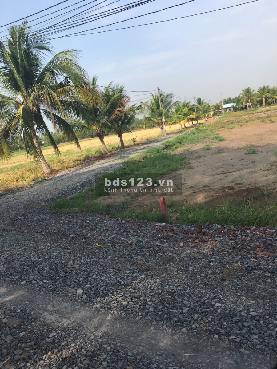 Chủ bán gấp 200m2 Ấp 2 Hữu Thạnh giá 600 triệu, SHR