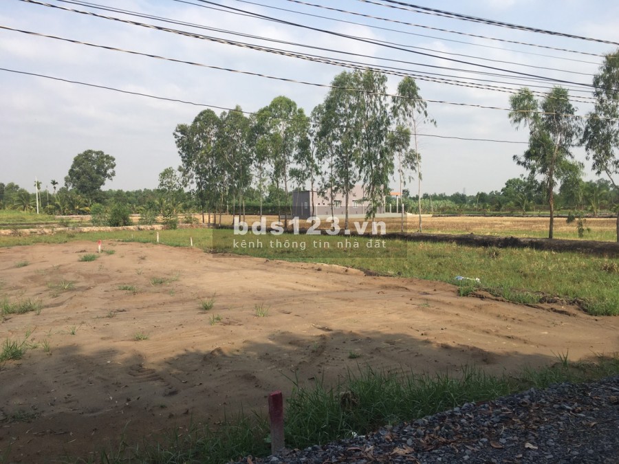 Chủ bán gấp 200m2 Ấp 2 Hữu Thạnh giá 600 triệu, SHR