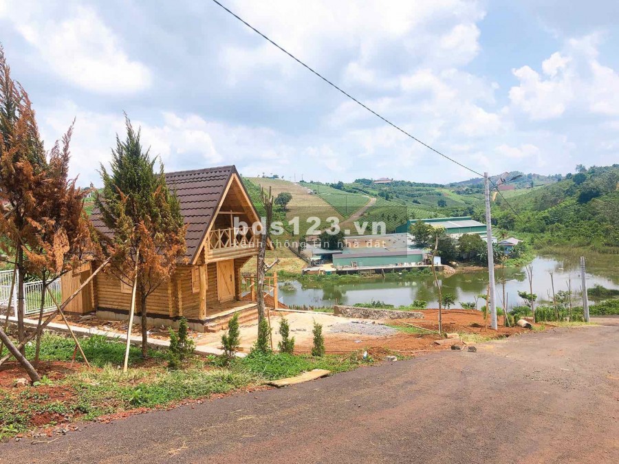 CẦN BÁN GẤP LÔ ĐẤT ĐẸP CỰC HIẾM GIÁP HỒ ĐƯỜNG TÔN THẤT THUYẾT TP BẢO LỘC.