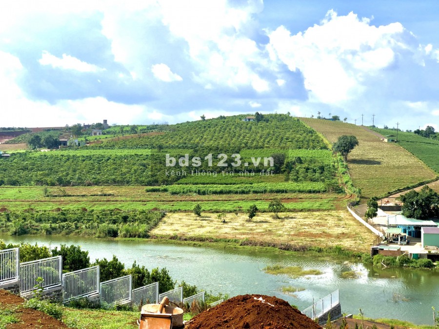 CẦN BÁN GẤP LÔ ĐẤT ĐẸP CỰC HIẾM GIÁP HỒ ĐƯỜNG TÔN THẤT THUYẾT TP BẢO LỘC.