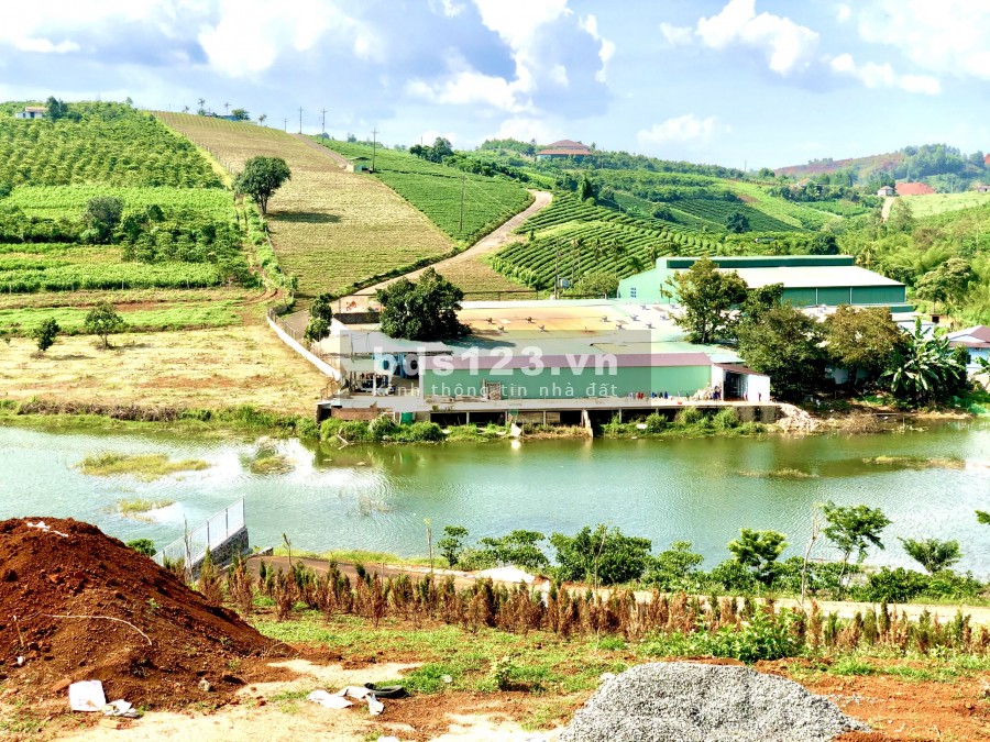 CẦN BÁN GẤP LÔ ĐẤT ĐẸP CỰC HIẾM GIÁP HỒ ĐƯỜNG TÔN THẤT THUYẾT TP BẢO LỘC.