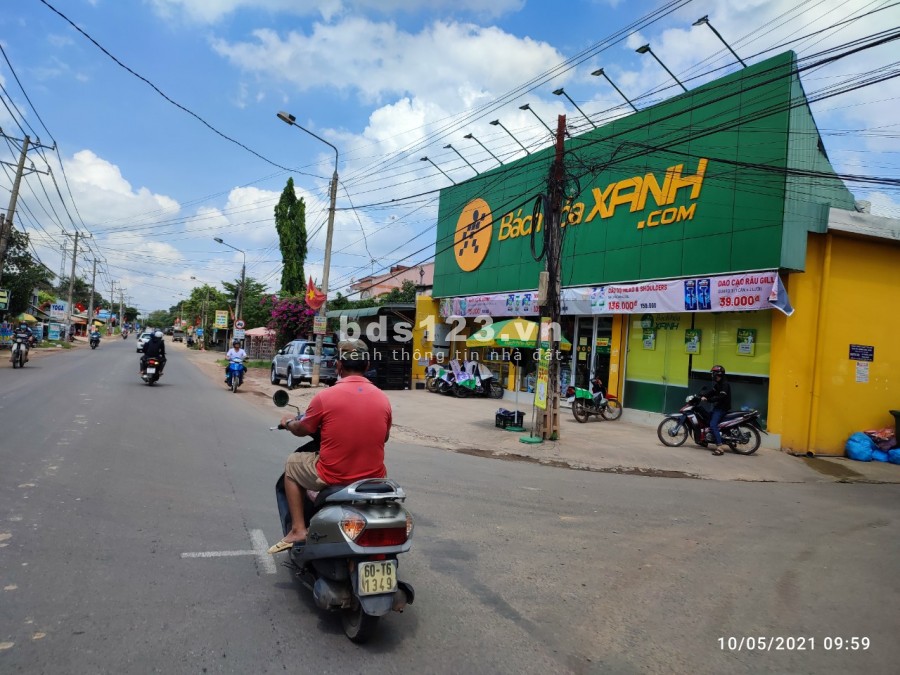 Cần tiền bán gấp vườn bưởi 1000m2 gần thị trấn Trảng Bom