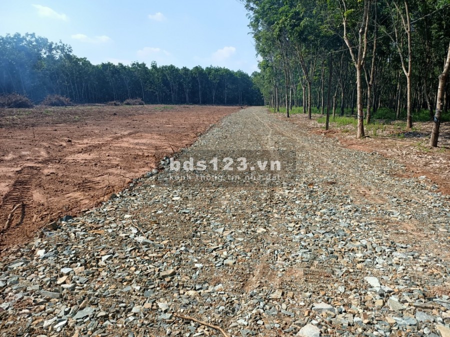 Bán 5000m2 đất cây lâu năm đủ tiện ích xung quanh bán kinh 2km