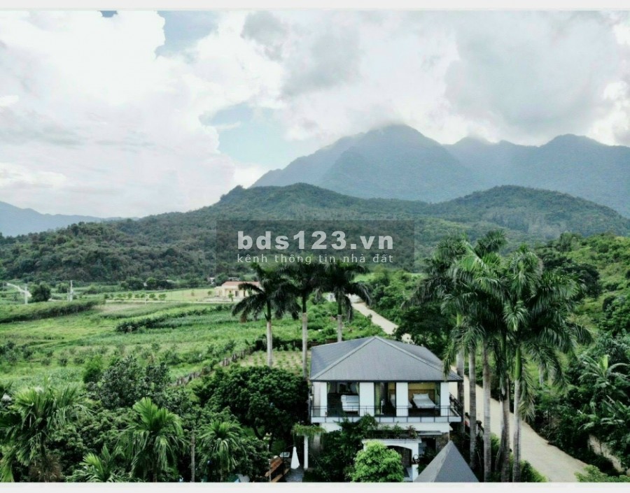 NGHỈ DỊCH VẪN CÓ NGUỒN THU- BIỆT THỰ NGHỈ DƯỠNG BA VÌ GIÁ RẺ