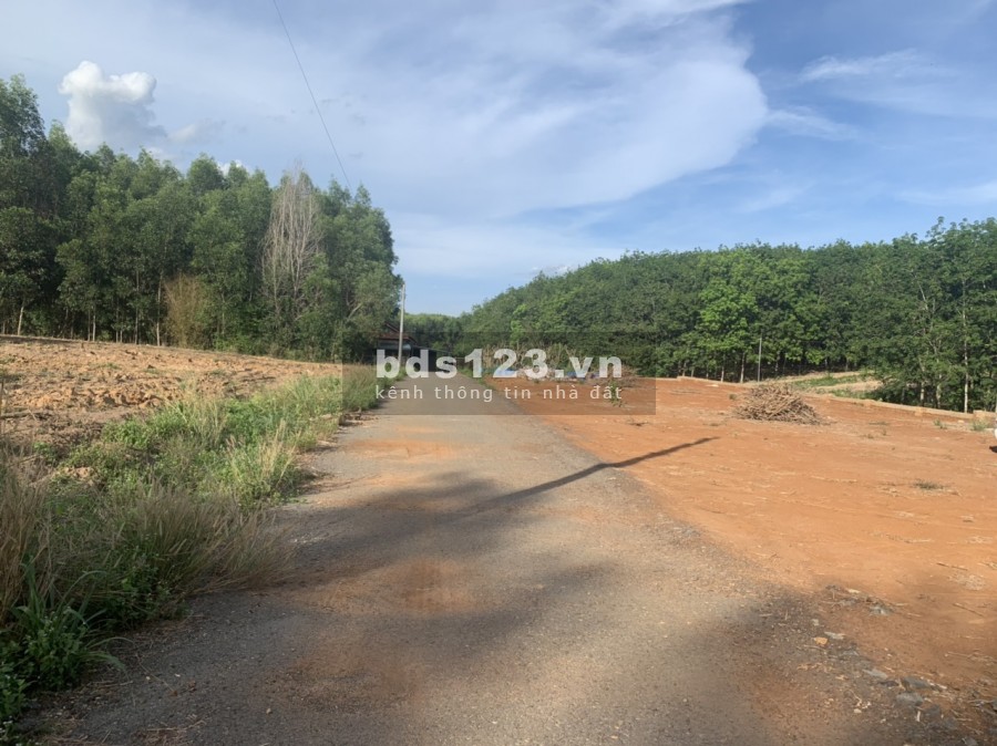 Lô đất bàn cờ Tân Hiệp - Long Thành ngang 22m giá chỉ 3 tỷ