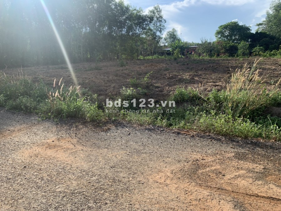 Lô đất bàn cờ Tân Hiệp - Long Thành ngang 22m giá chỉ 3 tỷ