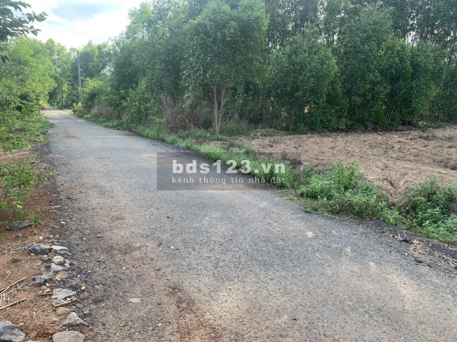 Lô đất bàn cờ Tân Hiệp - Long Thành ngang 22m giá chỉ 3 tỷ