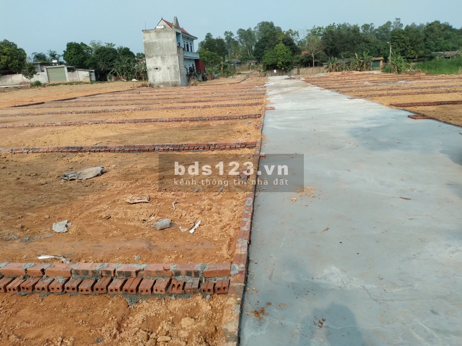 Bán đất hiếm Hướng đạo, tam dương(gần KCN Tam Dương 1 KV2)