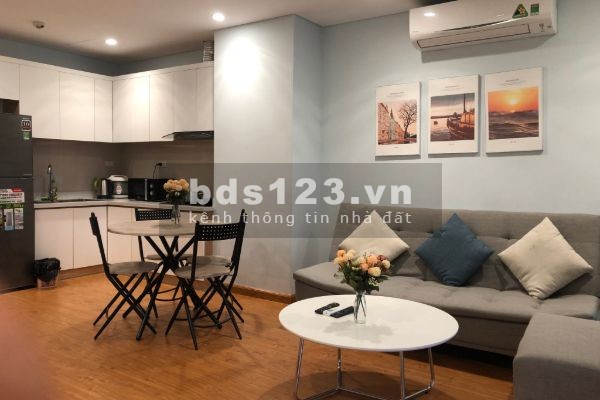 Cho thuê gấp căn hộ ở Hongkong tower 243A Đê La Thành, 2PN đủ đồ giá 15tr/tháng LH 0327582785