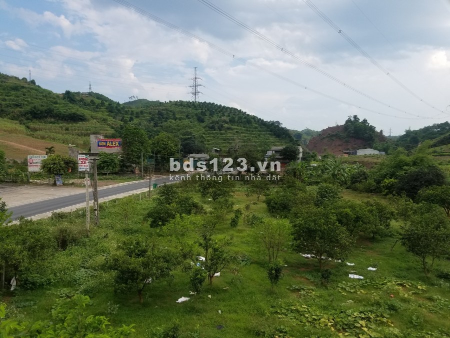 (CHÍNH CHỦ) BÁN LÔ ĐẤT 3200M2 MẶT ĐƯỜNG QL6 ĐỐI DIỆN TRẠM NGHỈ 358 CAO PHONG
