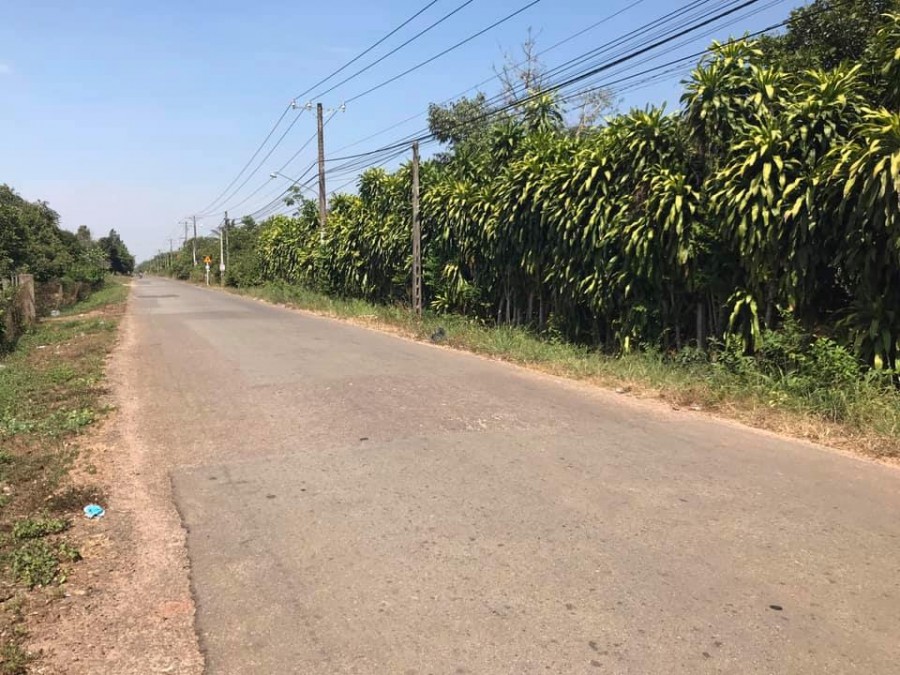 CẦN RA LÔ LỚN ĐÃ TÁCH 5 SỔ NHỎ XÃ BÌNH AN LONG THÀNH