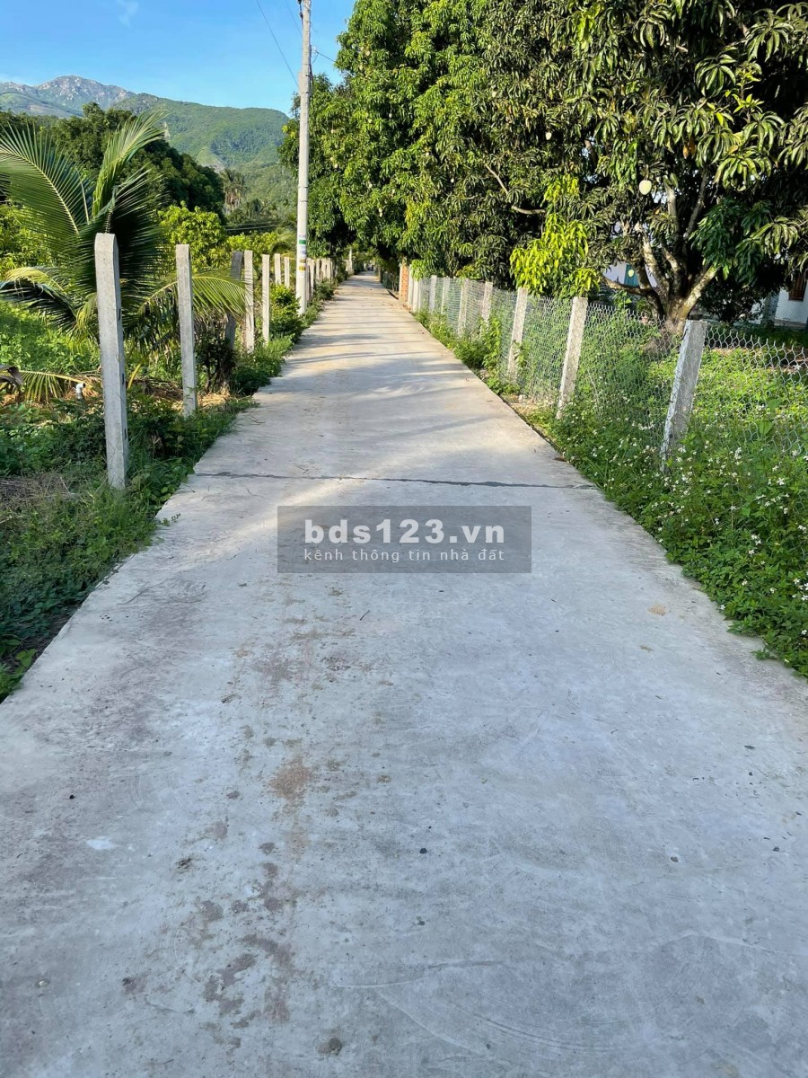 BÁN LÔ ĐẤT MẶT TIỀN ĐƯỜNG TRÁNH QL1A QUY HOẠCH 53M