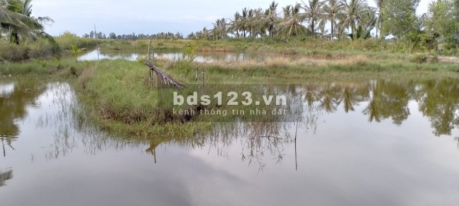 Đất vụ lúa vụ tôm lộ 1,5 m, thuận lợi để ở, trồng cây, trồng lúa, nuôi tôm