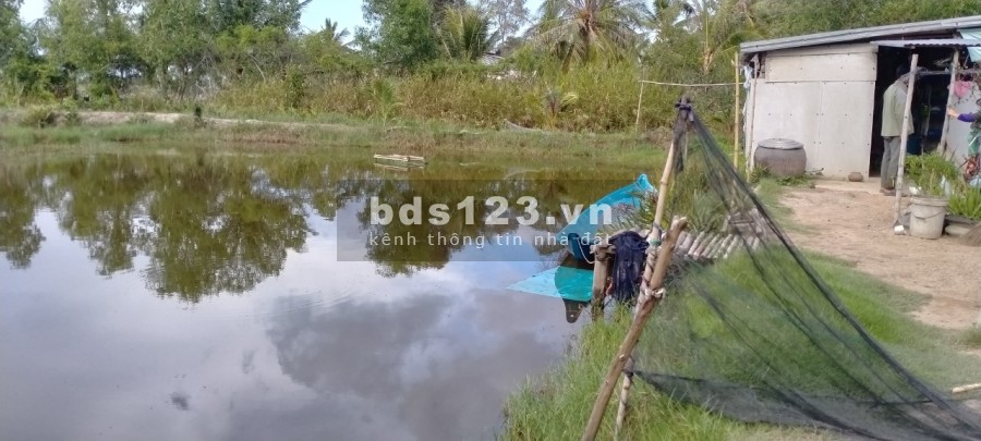 Đất vụ lúa vụ tôm lộ 1,5 m, thuận lợi để ở, trồng cây, trồng lúa, nuôi tôm
