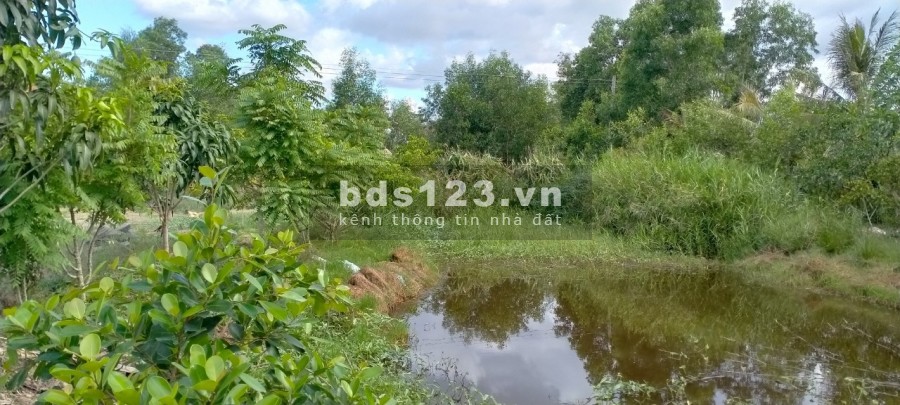 Đất vụ lúa vụ tôm lộ 1,5 m, thuận lợi để ở, trồng cây, trồng lúa, nuôi tôm