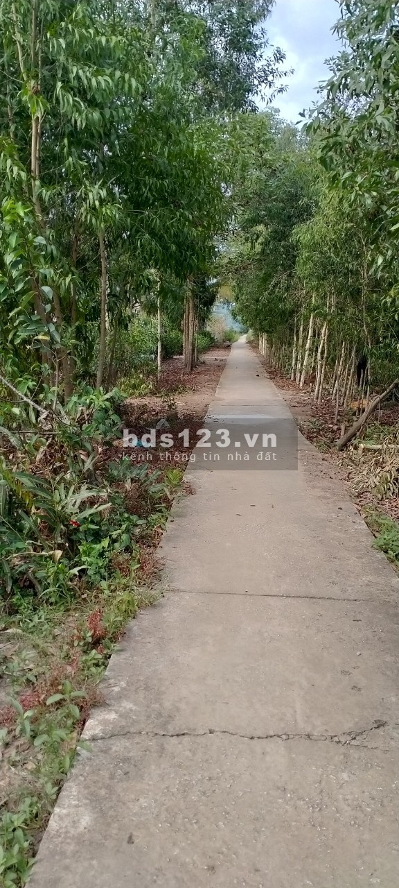 Đất vụ lúa vụ tôm lộ 1,5 m, thuận lợi để ở, trồng cây, trồng lúa, nuôi tôm