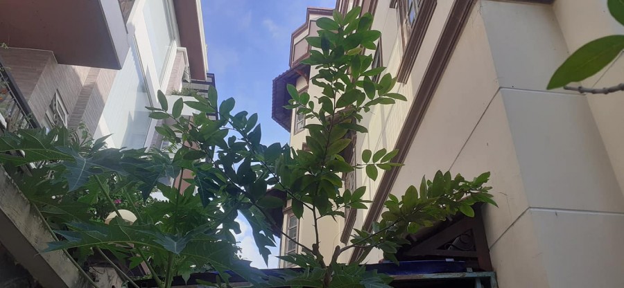 Bán nhà mặt tiền Lê Hồng Phong 33m2, P2 Quận 10 giá 10,6 tỷ