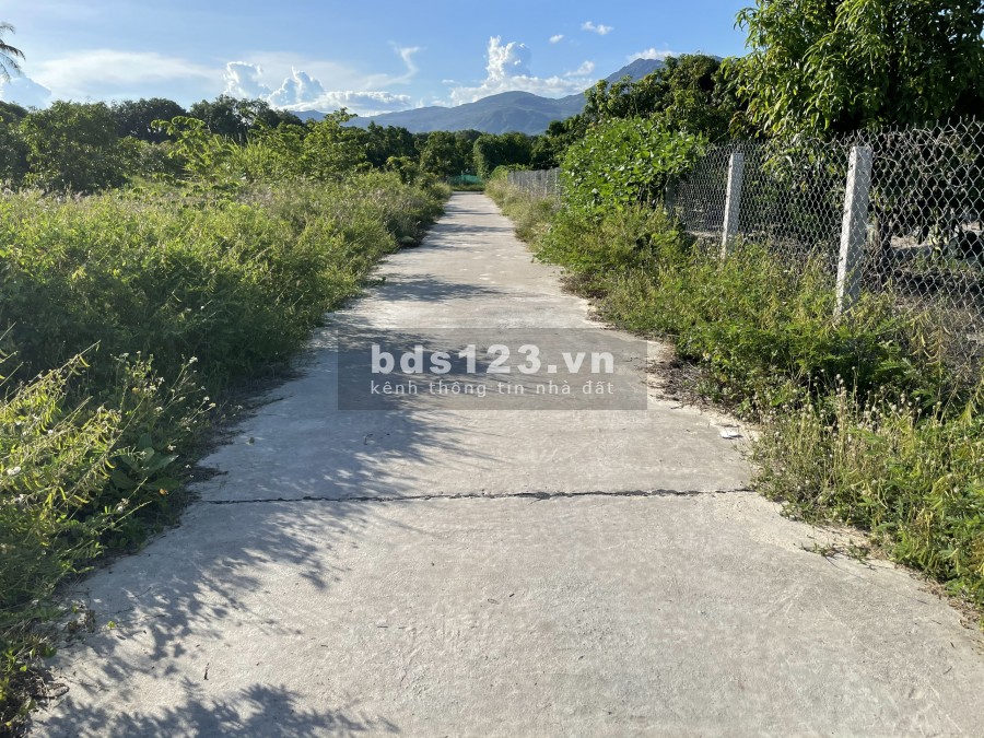 Đất ven đầm Thủy Triều- Giá đầu tư 6.xtr/m2