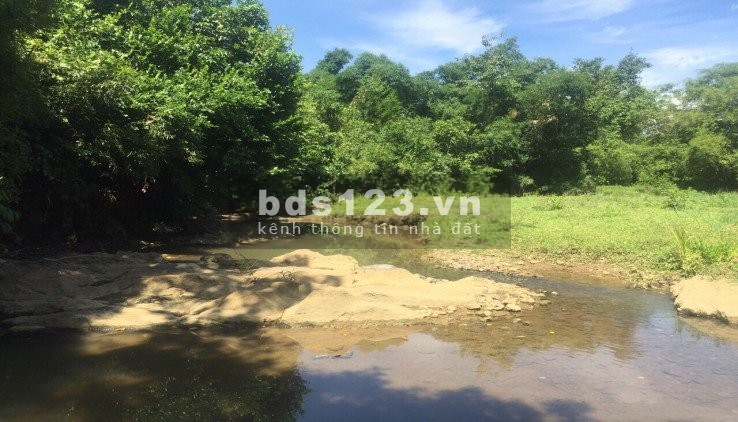 HÀNG HIẾM KHÓ KIẾM BÁM SUỐI VIEW ĐỒNG GIÁ 1,X TỶ LƯƠNG SƠN HOÀ BÌNH