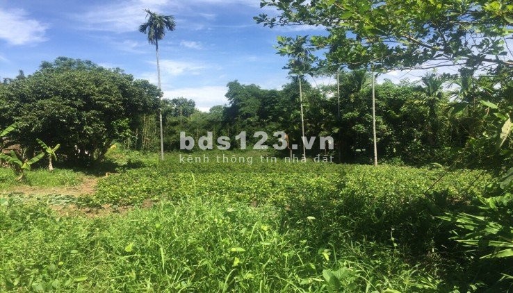 HÀNG HIẾM KHÓ KIẾM BÁM SUỐI VIEW ĐỒNG GIÁ 1,X TỶ LƯƠNG SƠN HOÀ BÌNH