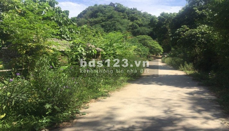 HÀNG HIẾM KHÓ KIẾM BÁM SUỐI VIEW ĐỒNG GIÁ 1,X TỶ LƯƠNG SƠN HOÀ BÌNH