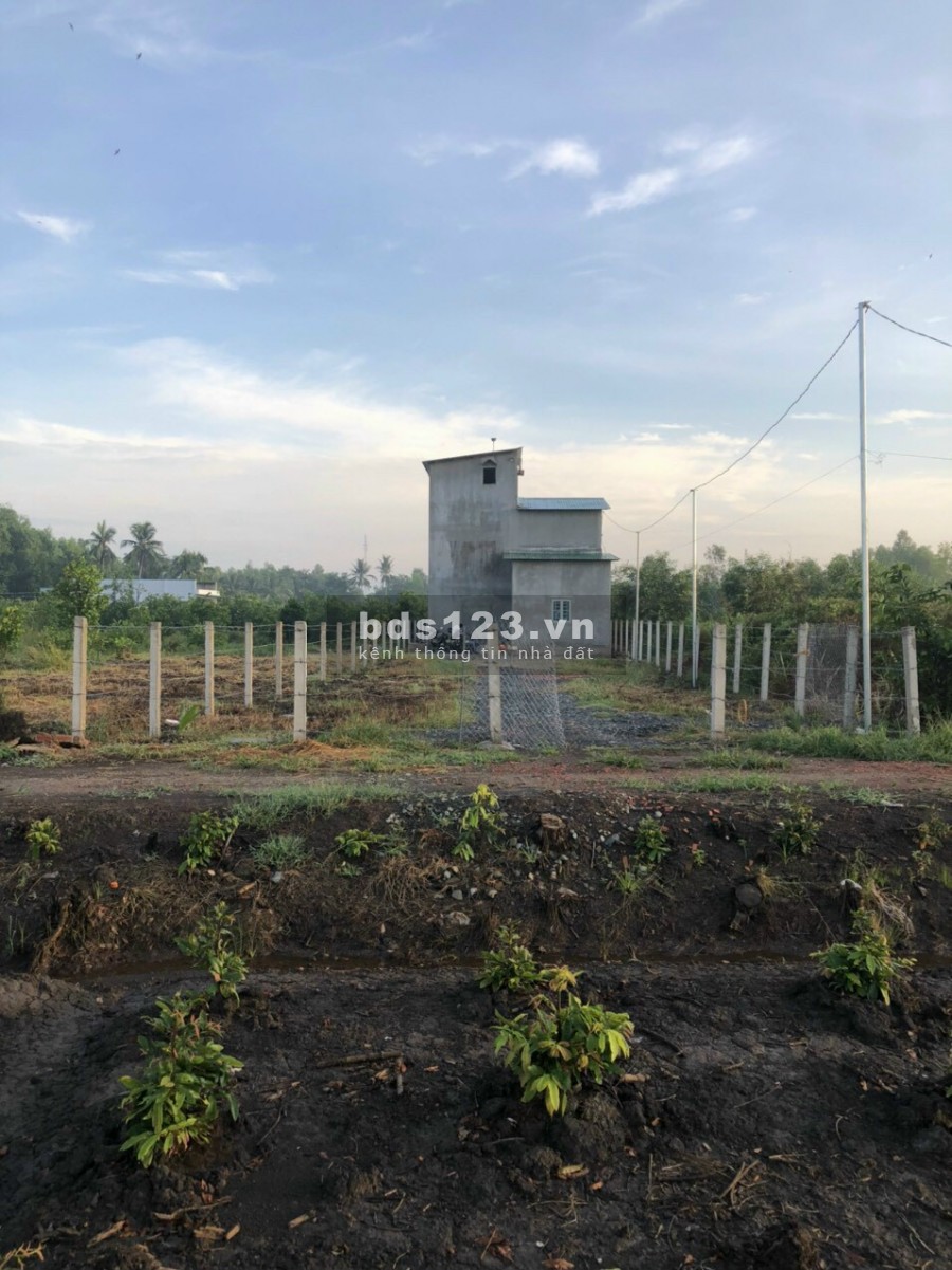 Nhà yến ở xã Thạnh Lợi huyện Bến Lức, Long An