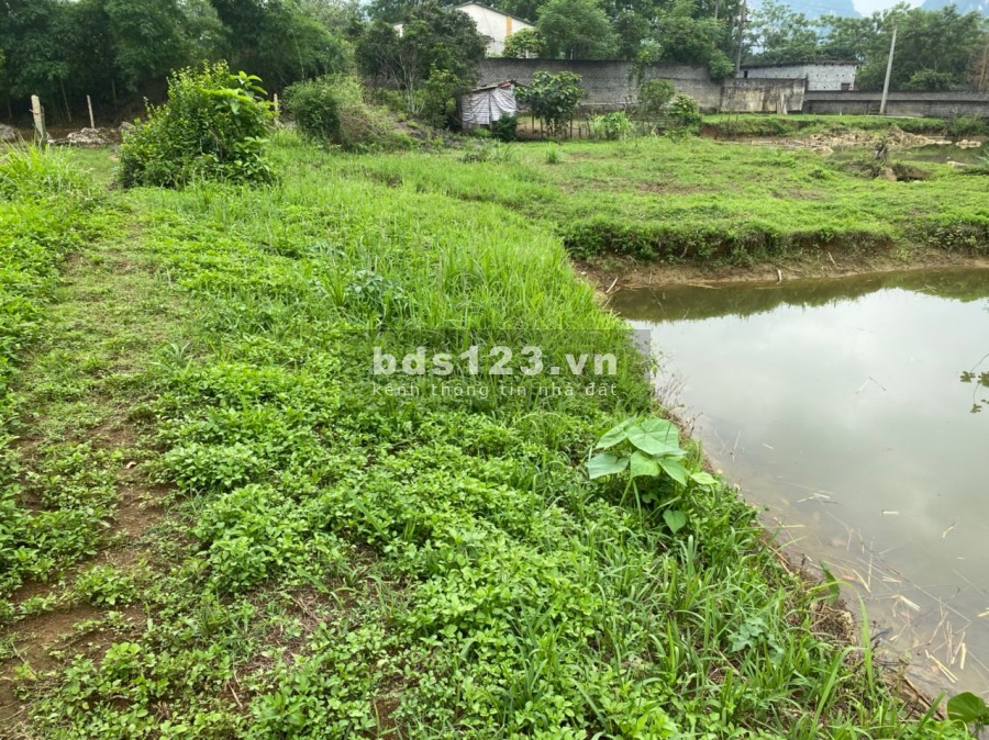 MẢNH ĐẤT LƯNG TỰA NÚI, CHÂN ĐẠP THUỶ 1323m2 TẠI TÂN VINH- LƯƠNG SƠN GIÁ CỰC RẺ