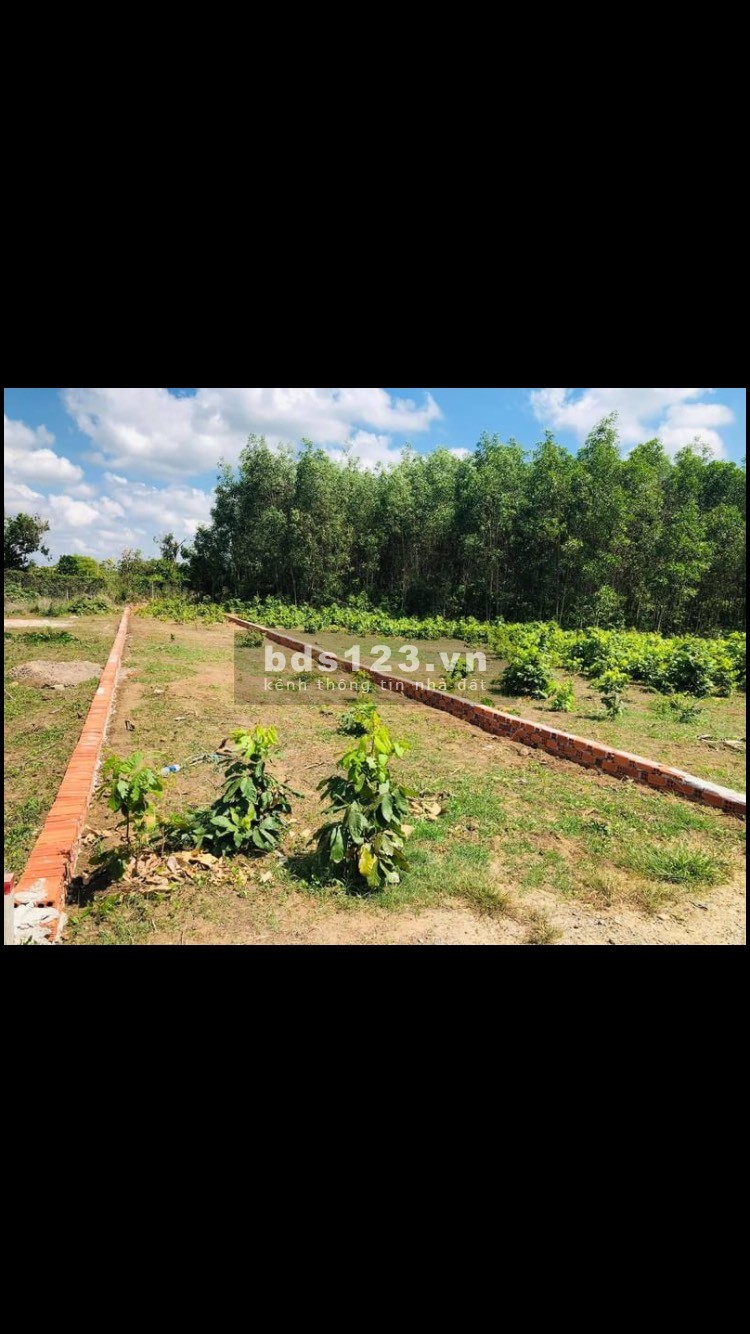 Bán lô đất chính chủ_Sổ Đỏ KCN Đất Đỏ