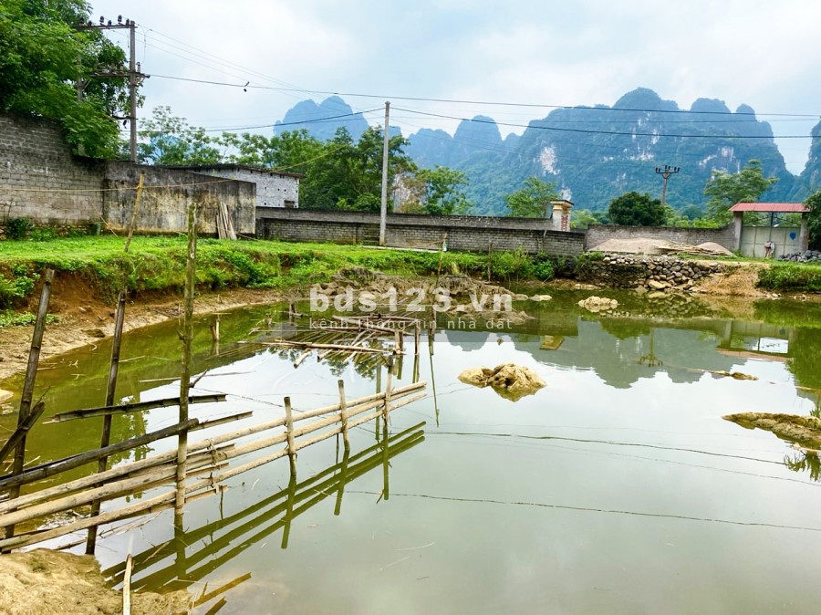 MẢNH ĐẤT LƯNG TỰA NÚI, CHÂN ĐẠP THUỶ 1323m2 TẠI TÂN VINH- LƯƠNG SƠN GIÁ CỰC RẺ
