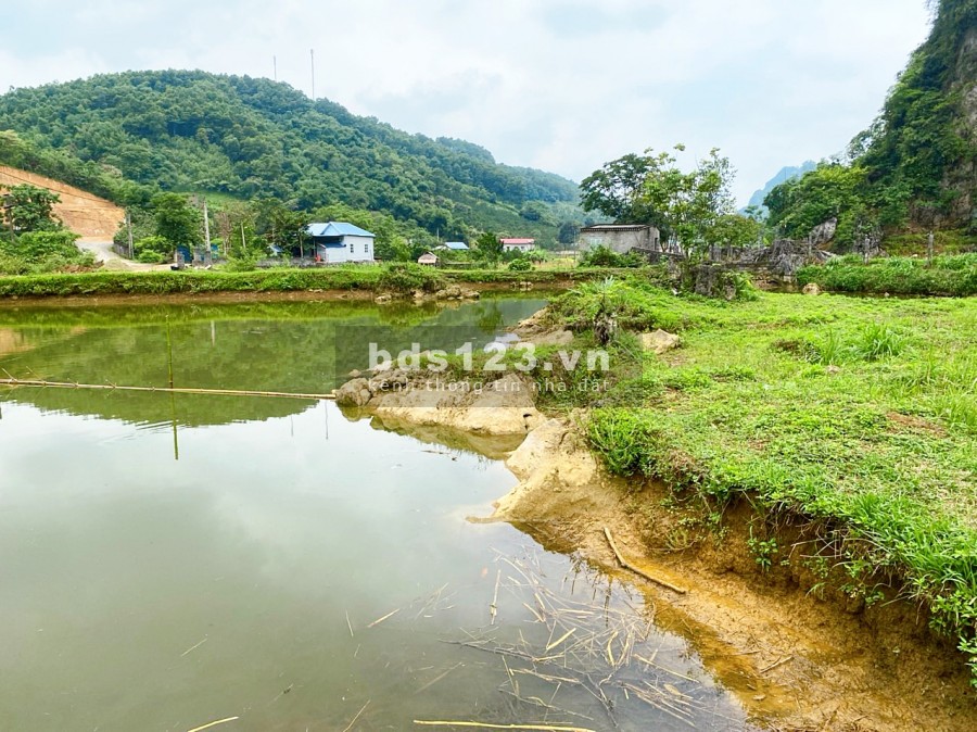 MẢNH ĐẤT LƯNG TỰA NÚI, CHÂN ĐẠP THUỶ 1323m2 TẠI TÂN VINH- LƯƠNG SƠN GIÁ CỰC RẺ
