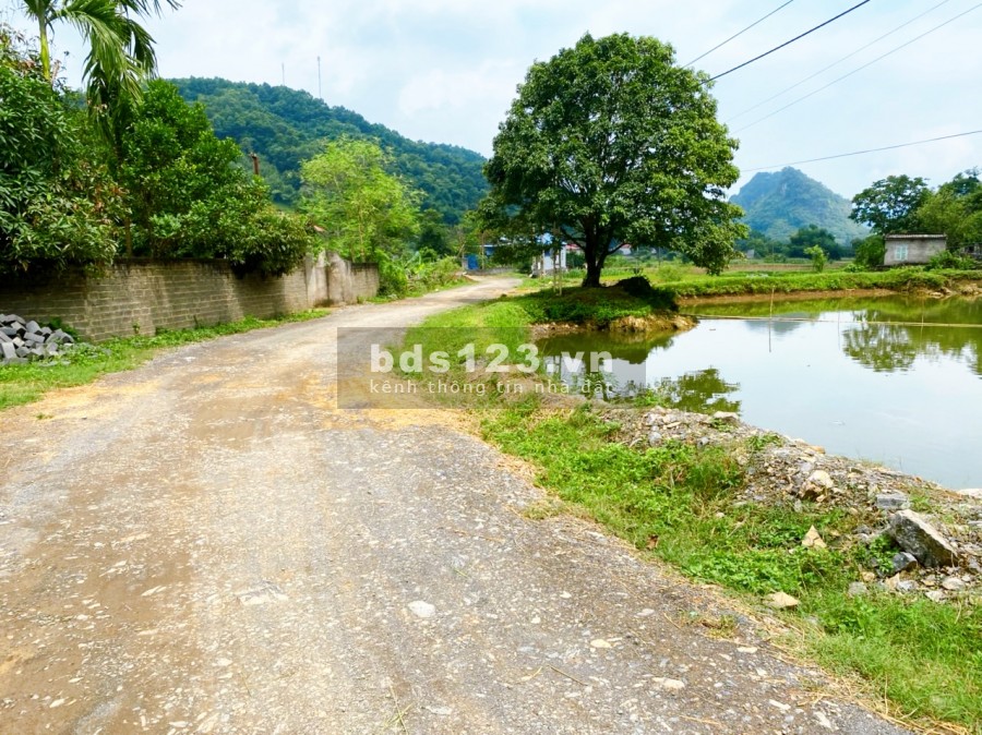 MẢNH ĐẤT LƯNG TỰA NÚI, CHÂN ĐẠP THUỶ 1323m2 TẠI TÂN VINH- LƯƠNG SƠN GIÁ CỰC RẺ