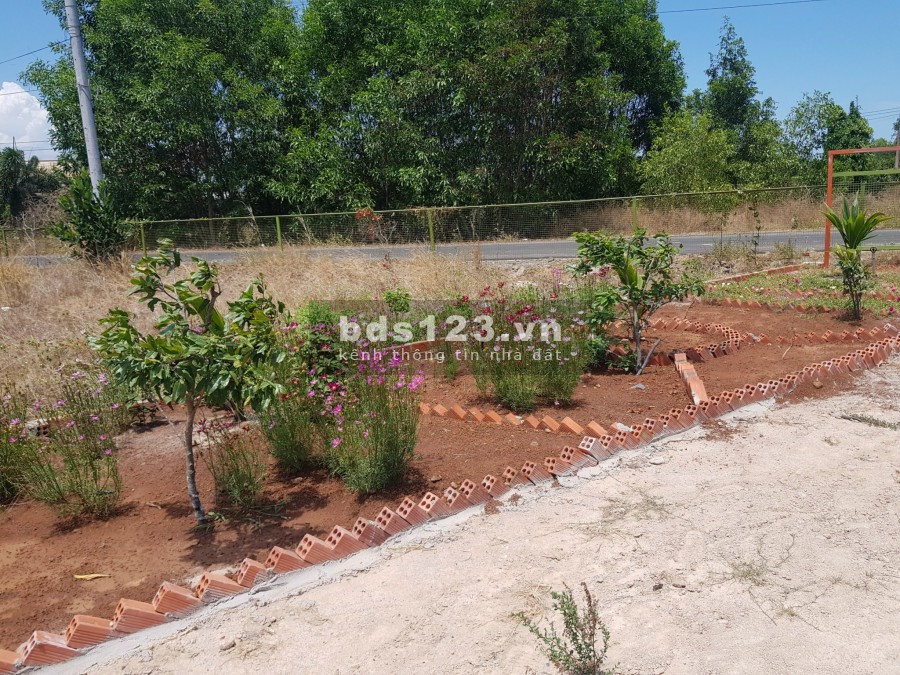 Còn 2 lô duy nhất có 10m mặt tiền đường nhựa 8m, sẵn 200m2 thổ cư, Long Mỹ, Đất Đỏ - Bà Rịa Vũng Tàu.