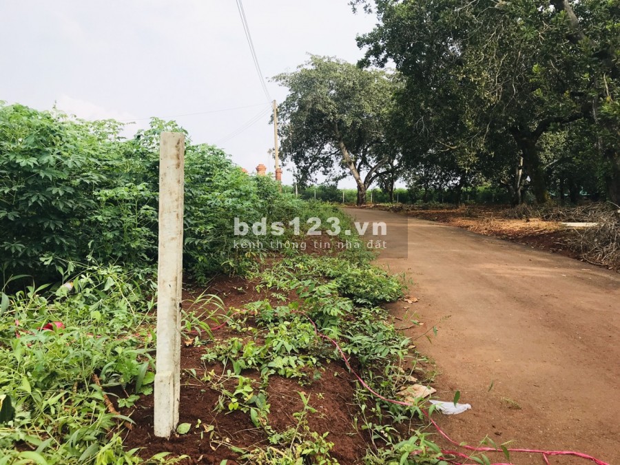 Bán đất xã Phước Bình Long Thành 1000m2 chỉ 1,4tr/m2 1 xẹc Đường Phước Bình