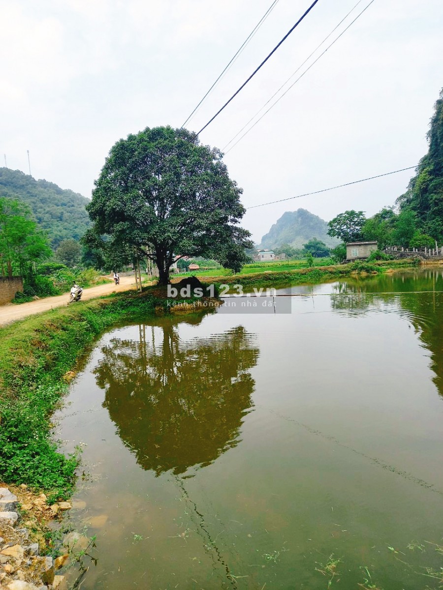 MẢNH ĐẤT LƯNG TỰA NÚI, CHÂN ĐẠP THUỶ 1323m2 TẠI TÂN VINH- LƯƠNG SƠN GIÁ CỰC RẺ