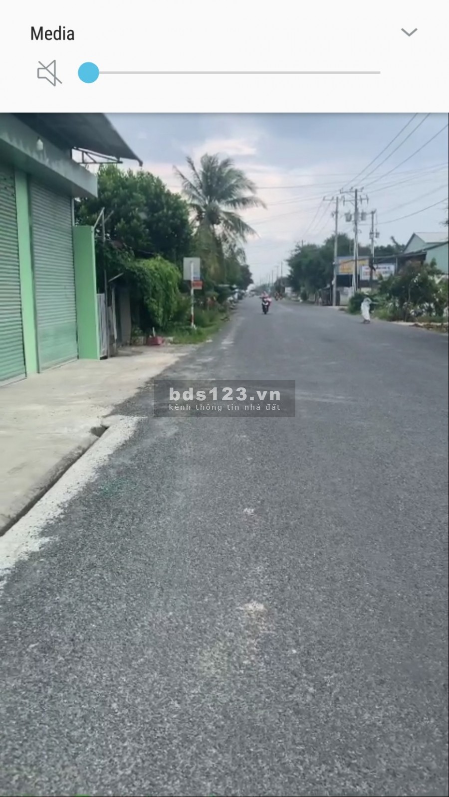 Cần bán gấp 7151mv đất trồng cây lâu năm . kiên giang
