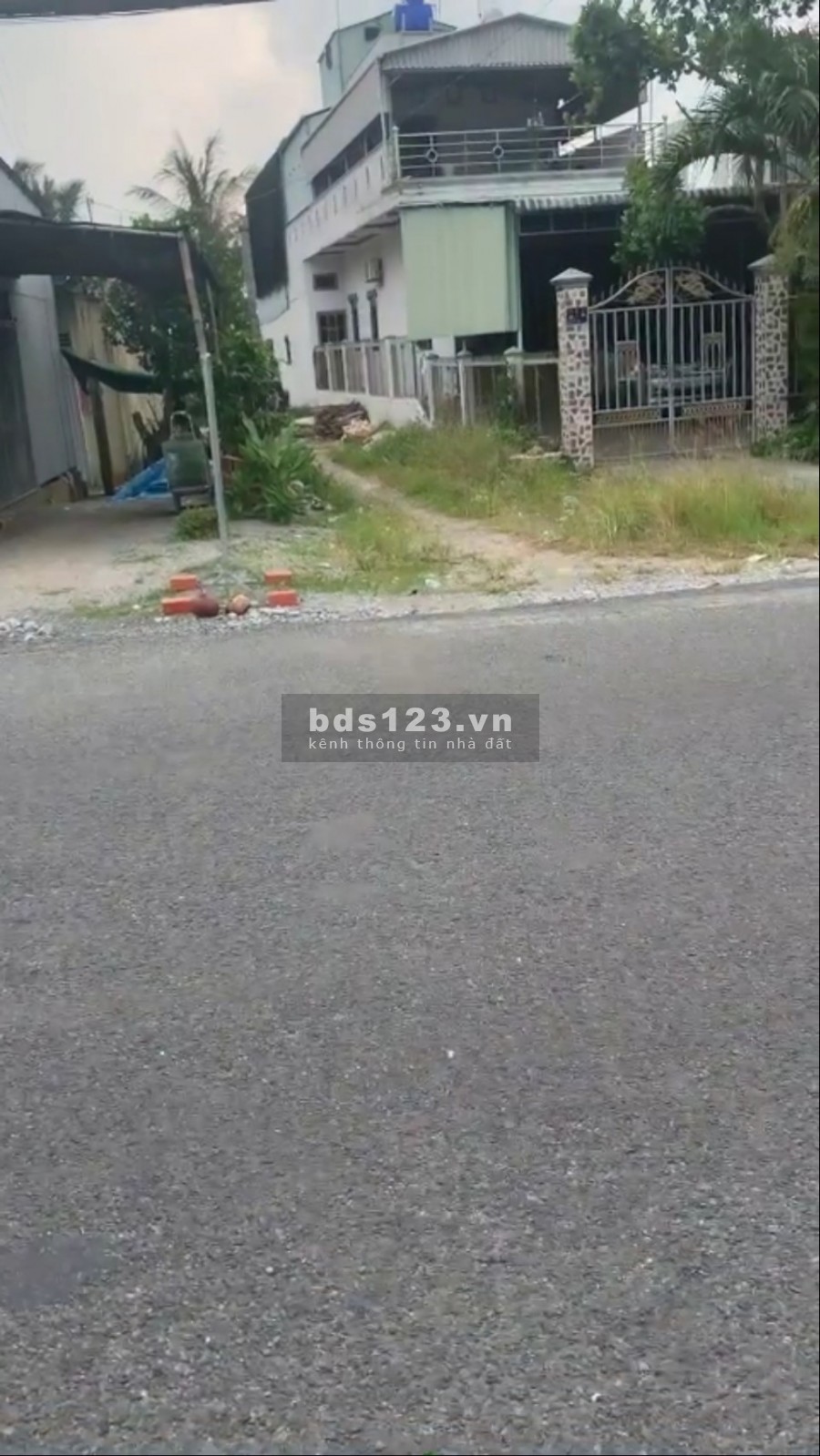 Cần bán gấp 7151mv đất trồng cây lâu năm . kiên giang