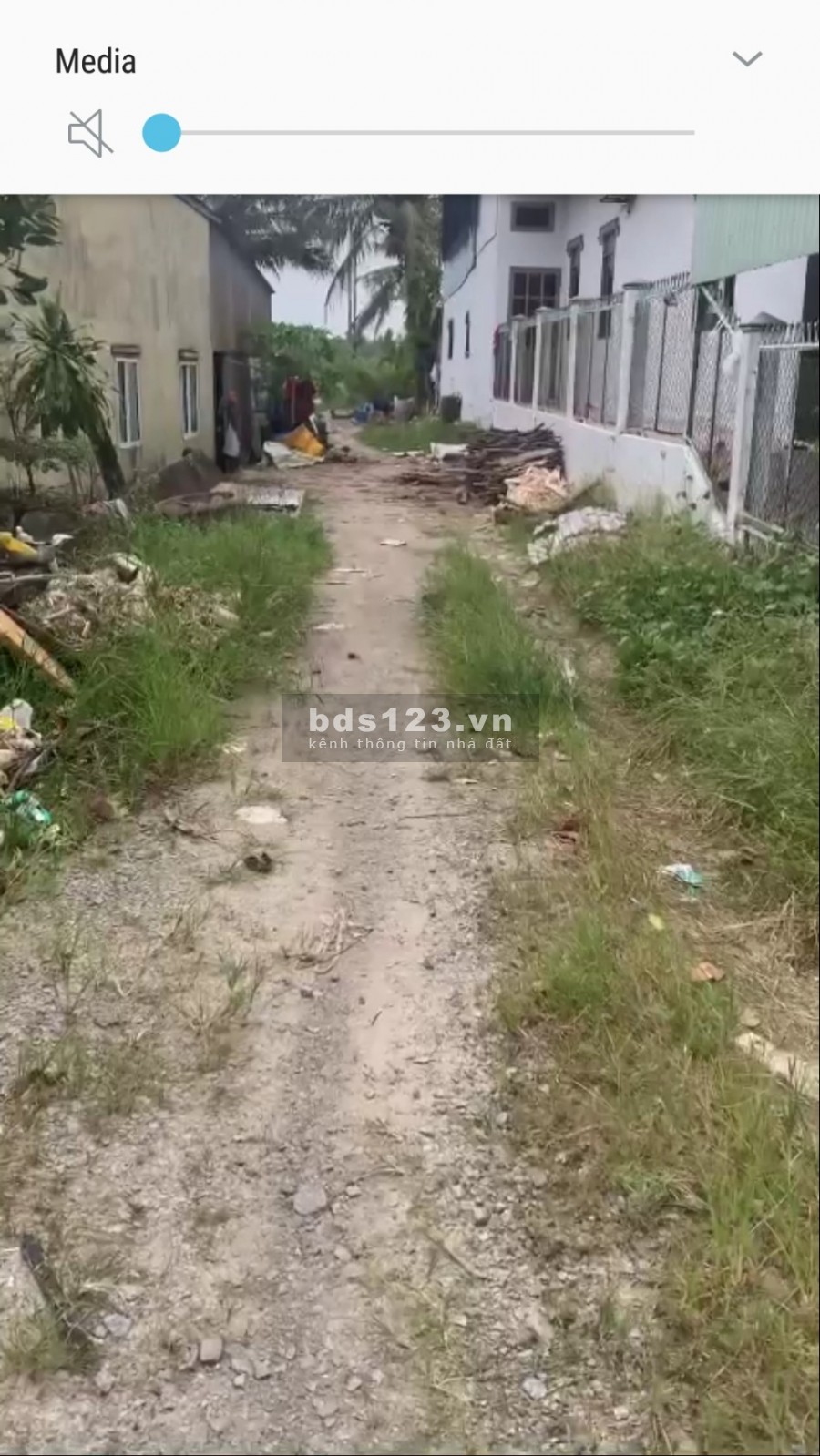 Cần bán gấp 7151mv đất trồng cây lâu năm . kiên giang