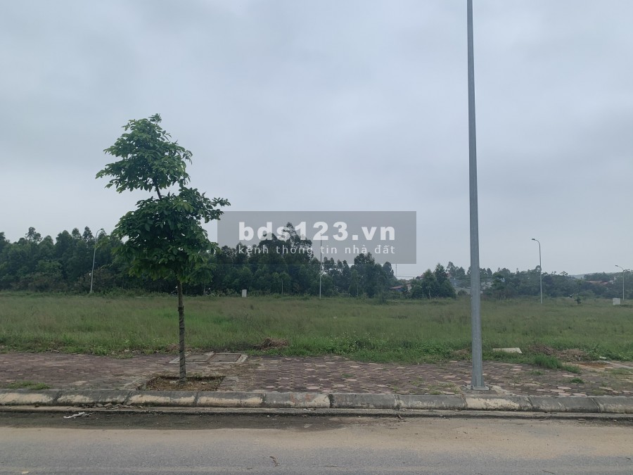 Lô đất 125m2, có sổ riêng, vị trí trung tâm, không lỗi lầm gì, giá chỉ nhỉnh 12tr/m2