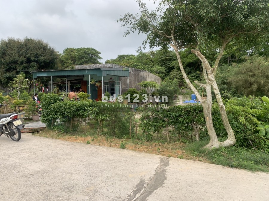 Đất Đảo ngọc Cô Tô, 100m ra đến biển, gần đường ra CÔ Tô Con