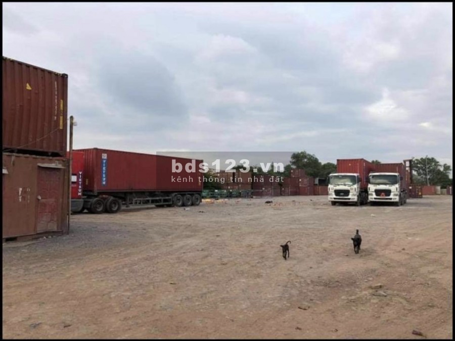 8000m2 kho bãi đường 11 - Hoàng Hữu Nam đường xe container giá ưu đãi